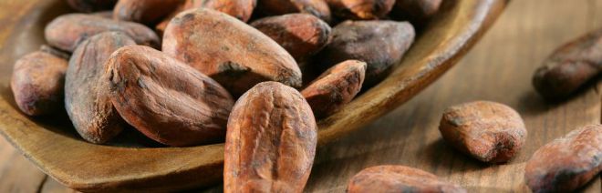 El cacao tiene efectos beneficiosos contra la Obesidad