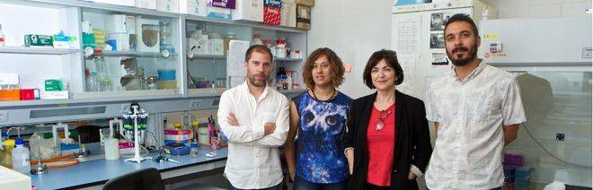 Investigadores de la Universidad de Alicante participan en el proyecto europeo METAFLUIDICS