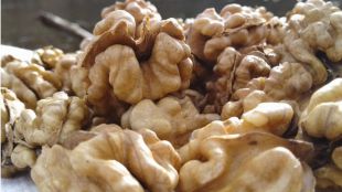 Consumir nueces reduce las concentraciones sanguíneas de colesterol y triglicéridos