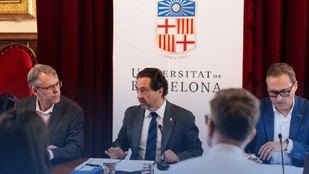 Defensa del català en Alacant por parte de la Xarxa Vives d'Universitats