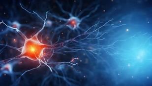 La educación superior no frena el deterioro cognitivo en la vejez
