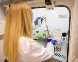 113 investigadores de la UAM destacan en el ranking mundial de Stanford 2025