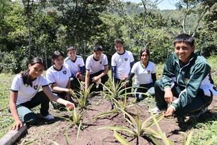 Estudiantes de Cajamarca cultivan café y emprenden en su chacra