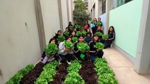 Estudiantes mejoran cultivos orgánicos con apoyo de la NASA