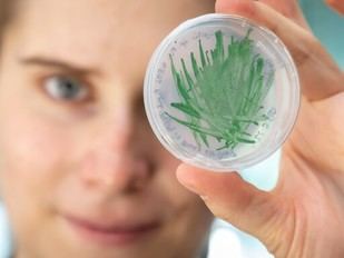 Evento Unite! de matchmaking en biología se llevará a cabo el 25 de septiembre