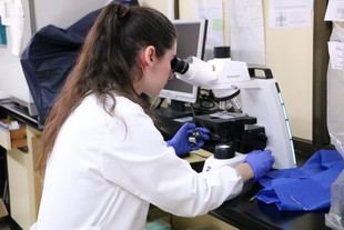 La Universidad de León destina 2,2 millones al Programa de Investigación