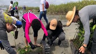 Cayena y Litoplas impulsan la sostenibilidad en el Caribe con nueva alianza