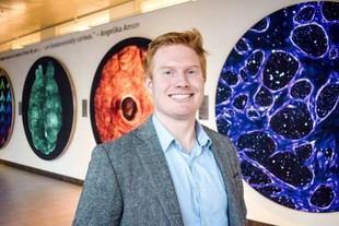 Modelos predictivos para comprender la evolución de tumores