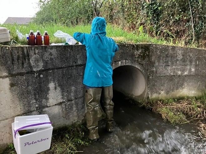 El agua de escorrentía urbana pone en riesgo los ecosistemas acuáticos