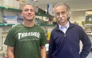 Descubren un mecanismo esencial en la comunicación celular