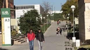 Ayudas de la UJA para la creación de empleo entre entudiantes y titulados