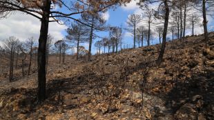 La Universitat de València lidera FIRElinks, un programa europeo para frenar los grandes incendios forestales
