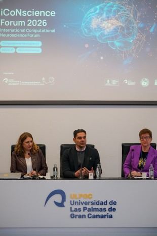 La ULPGC busca convertirse en referente mundial en neurociencia computacional
