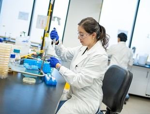 Universidad lanza fondo para soluciones innovadoras hasta el 3 de noviembre