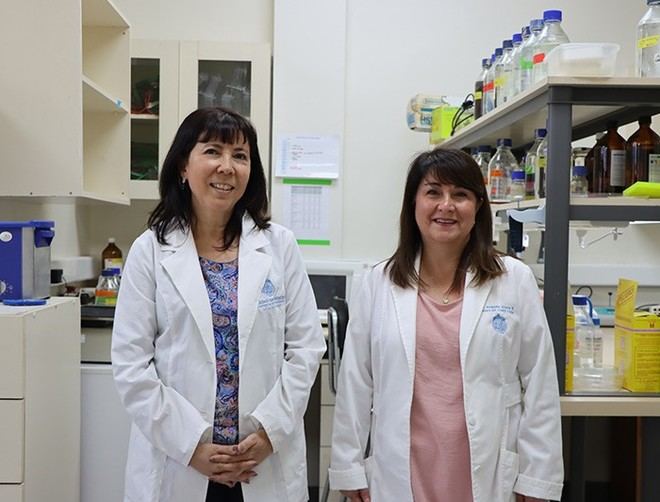 Transferencia de medicamento Neurotinib marca hito en investigación chilena