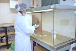 NOVA-IA transformará la industria alimentaria chilena con IA y $5.300M