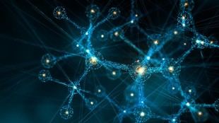 La Universidad de Manchester liderará el primer Commons de Métodos de BioFAIR para la ciencia biosanitaria en el Reino Unido