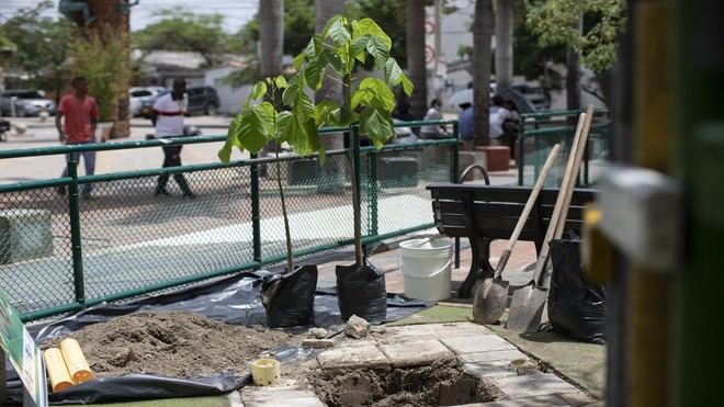 Anuncian finalistas de los Premios Macondo 2025 en sostenibilidad