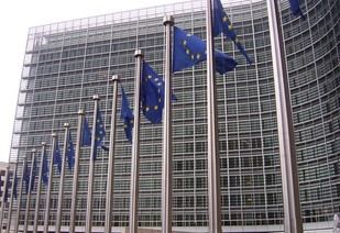 28 universidades exigen que el gallego, catalán y euskera sean oficiales en la UE