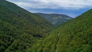 La Red Natura 2000 en la cornisa cantábrica podría neutralizar las emisiones de CO2 de España en 2,5 años
