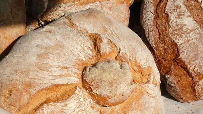 La Cátedra del Pan premiará trabajos sobre cereales y sus derivados