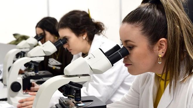 Premiados en la XVI Edición de los Premios de Perspectiva de Género en Docencia e Investigación