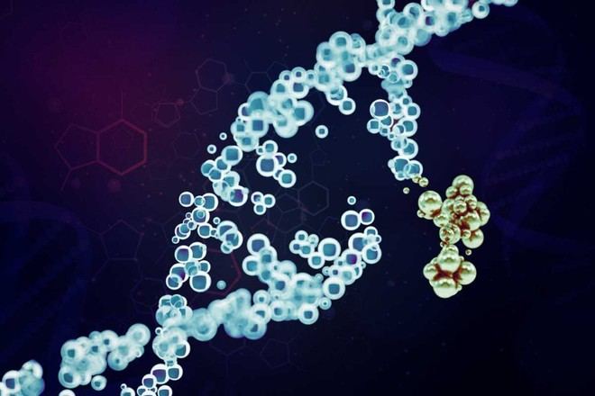 Investigadores del MIT logran reducir drásticamente el margen de error en la edición genética