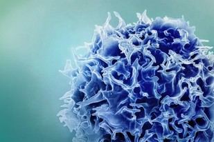 Innovadora técnica de vacunación contra el cáncer potencia las células T