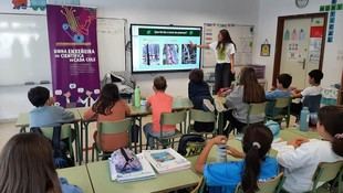 USC impulsa la vocación científica en 8.000 estudiantes de primaria con referentes femeninos