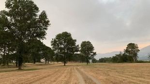 USC lidera AGROVALOR 2026 en Lugo para impulsar la valorización de residuos y la agricultura circular