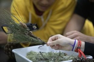 La Xunta premia proyectos de investigación en 16 centros educativos gallegos