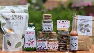 Proyecto Plantas Olvidadas promueve el uso de alimentos forestales en la gastronomía