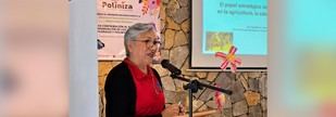Festival en Tequila destaca la importancia de las abejas nativas