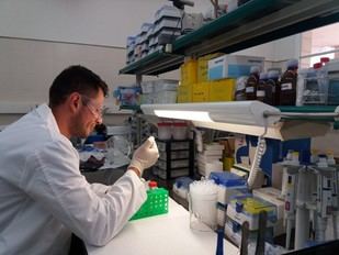 Convocatoria abierta para 28 contratos predoctorales en la URV