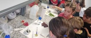 Inscripciones abiertas para proyectos de divulgación científica en la Universidad de Extremadura