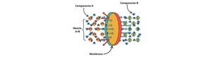 Investigadora de la UV crea membranas poliméricas para purificación de gases