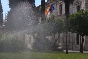 Actividades de verano en la Universidad de Sevilla: ocio y deporte para la comunidad universitaria