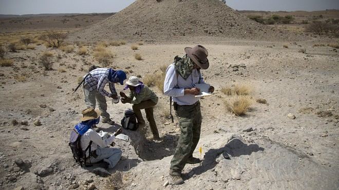 Descubren en Etiopía un nuevo ancestro humano que era bípedo y trepador