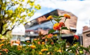 Propuestas de la Javeriana para transformar el trabajo en Colombia