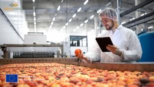 AGILEHAND lanza programa gratuito para pymes del sector alimentario en Europa