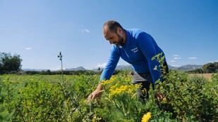 La agricultura regenerativa se posiciona como solución ante retos ambientales