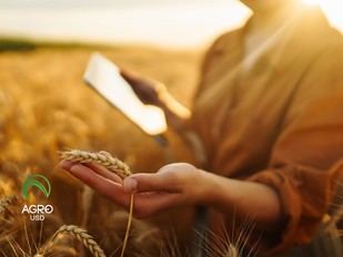 AgroUSD promueve la independencia financiera en el sector agrícola con tecnología innovadora