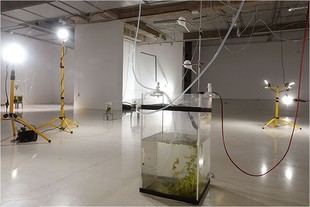 Exposición 'Agua, por favor' de Edu Lavrador en la Facultad de Bellas Artes