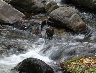Residuos de antibióticos en aguas favorecen bacterias resistentes