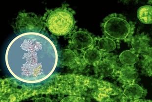 Nuevo antibiótico utiliza IA para atacar bacterias intestinales específicas