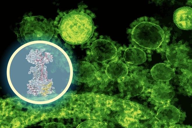 Nuevo antibiótico utiliza IA para atacar bacterias intestinales específicas