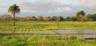 Iniciativa de IA para mejorar la predicción del clima en África Occidental