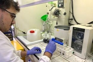 Proyecto para eliminar sustancias químicas nocivas en productos infantiles y calzado