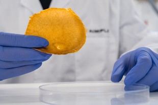 AIMPLAS lidera proyecto para convertir residuos en piel vegana y cosméticos