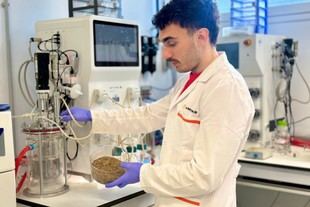 AIMPLAS impulsa la producción de bioplásticos sostenibles a partir de residuos agrícolas